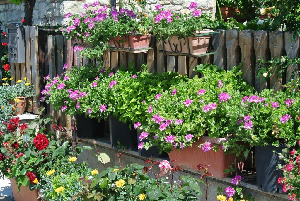 Trentinara B&B Casa Antonia מראה חיצוני תמונה