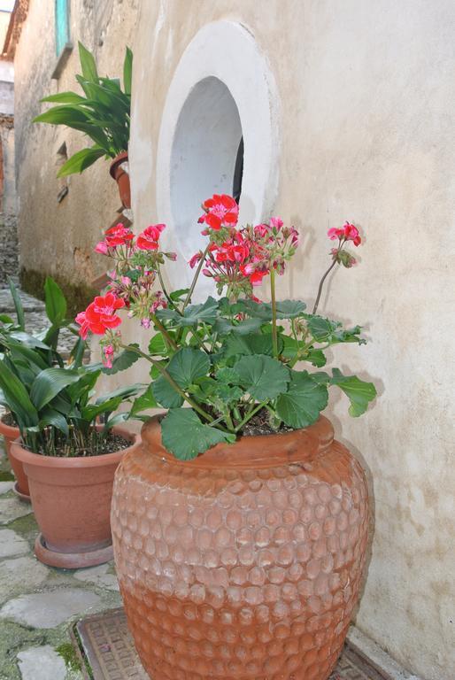 Trentinara B&B Casa Antonia מראה חיצוני תמונה