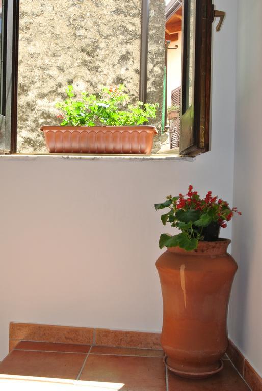 Trentinara B&B Casa Antonia מראה חיצוני תמונה
