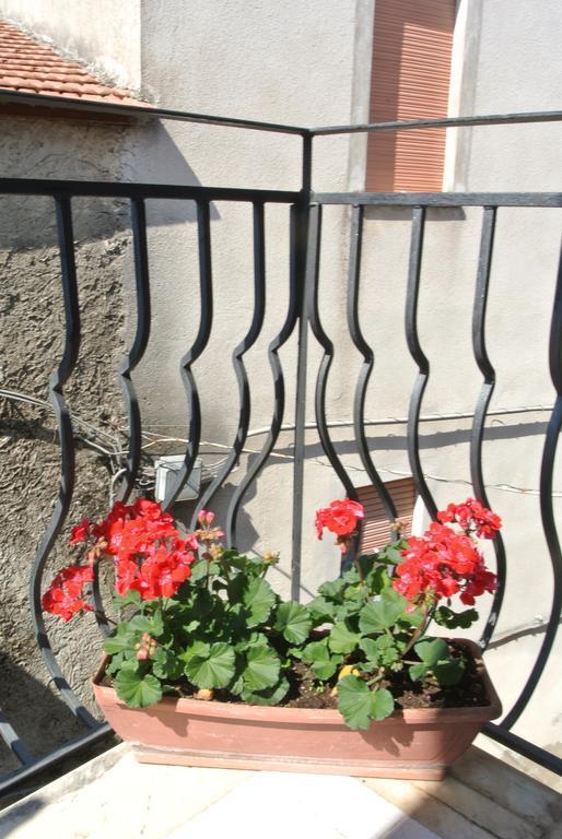 Trentinara B&B Casa Antonia מראה חיצוני תמונה