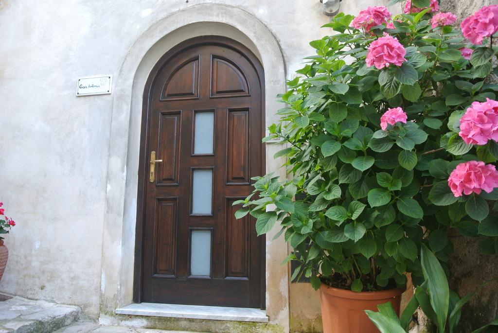 Trentinara B&B Casa Antonia מראה חיצוני תמונה