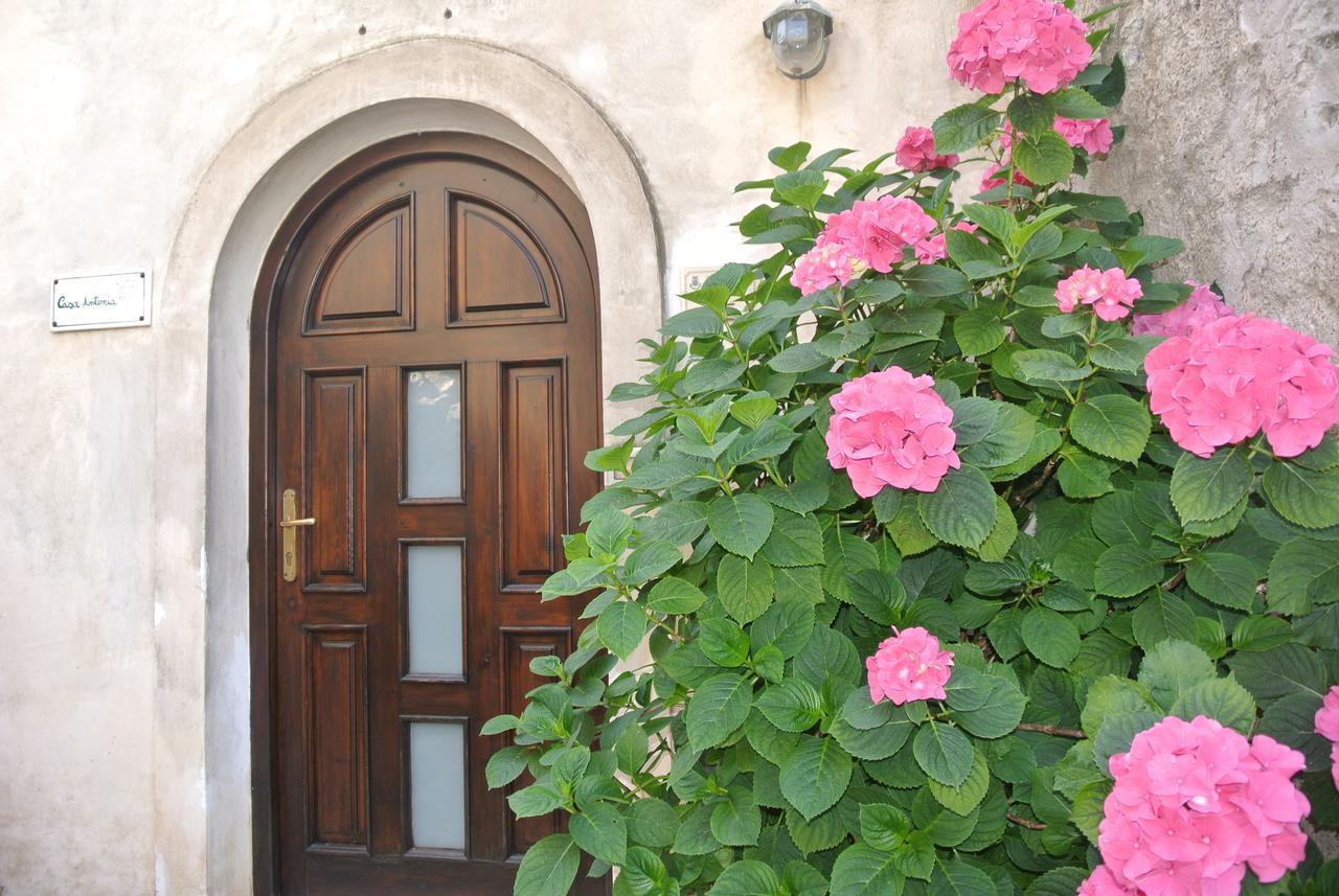 Trentinara B&B Casa Antonia מראה חיצוני תמונה